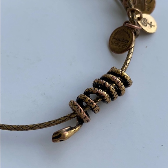Alex and Ani Jewelry Alex And Ani Snake Bracelet Poshmark